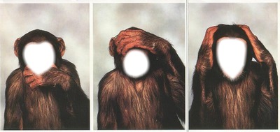 les trois singes Fotomontaggio