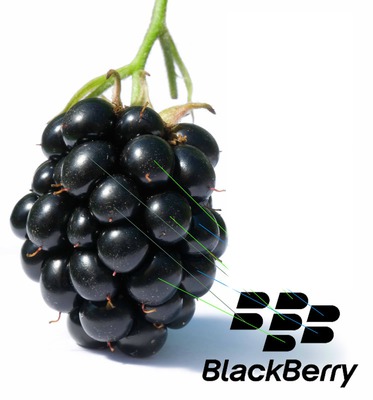 blackberry Photomontage