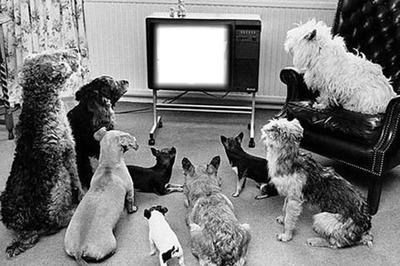 Dog TV Fotomontasje