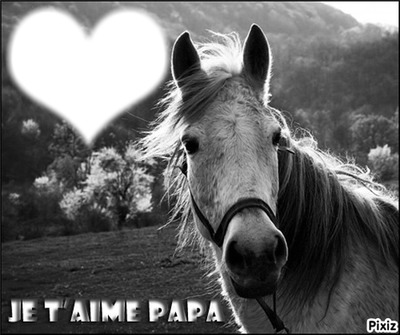 je t'aime papa Fotomontaż