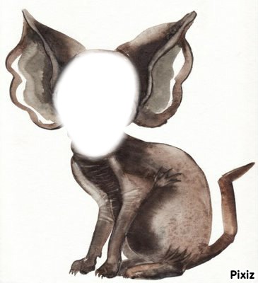 chien Valokuvamontaasi