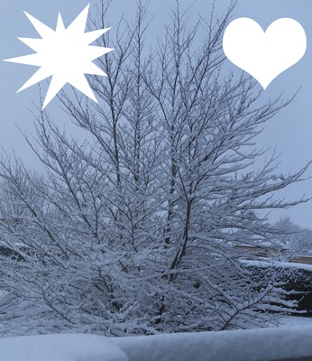 C'est beau la nature sous la neige Photo frame effect