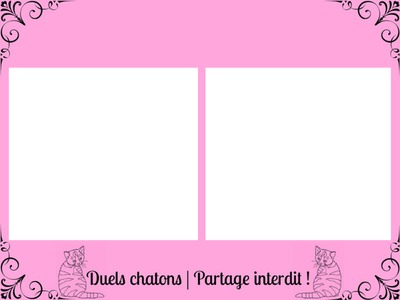 duels chatons 1 Photo frame effect