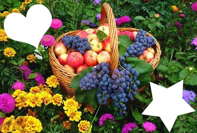 fruit Photomontage