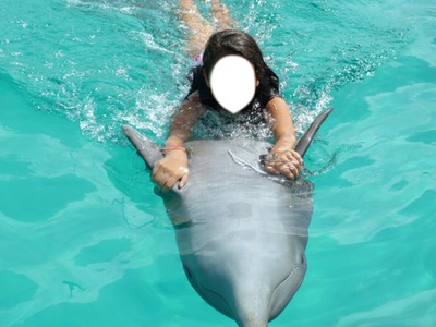 el delfin Fotomontaż