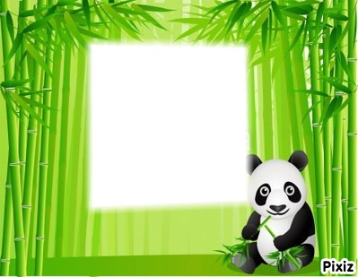 bambou panda Fotomontage