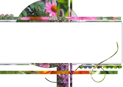 cadre fleuri Montaje fotografico