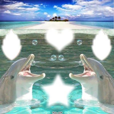 dauphins Photomontage