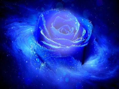 rose bleu Photomontage