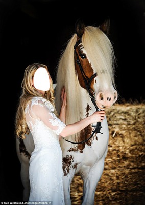 moça e cavalo Montaje fotografico