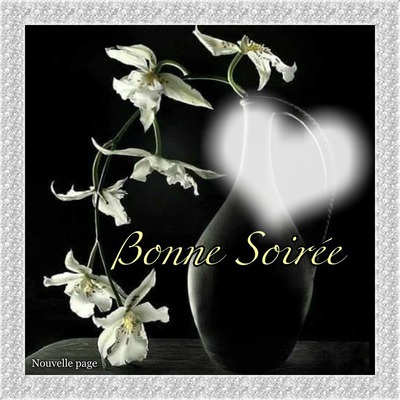 bonne soiree Fotoğraf editörü