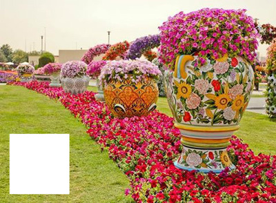 flores coloridas Montaje fotografico