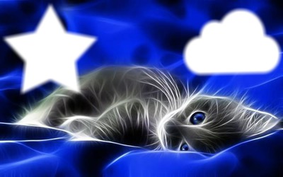 chat étoile nuage Photo frame effect