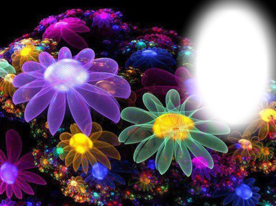 Beautiful colored Flowers Фотомонтаж