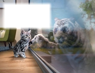 Chat-tigre Fotomontáž