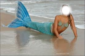 mermaid real Photo frame effect