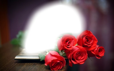 red rose Photo frame effect