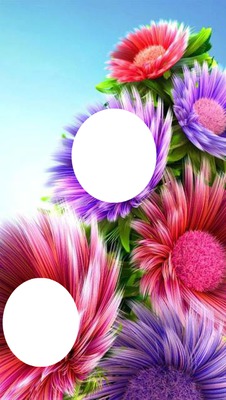 pretty flowers Fotomontage