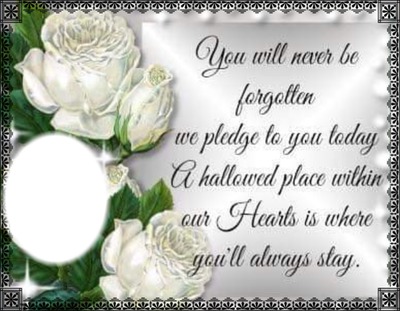 YOU WILL NEVER BE FORGOTTEN Montage photo