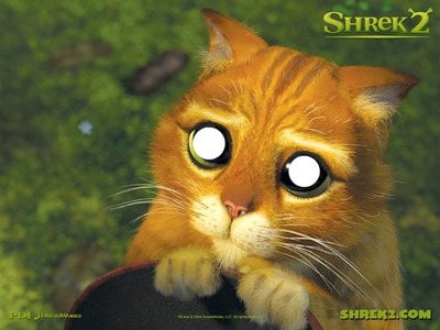 gato de shrek Fotomontagem