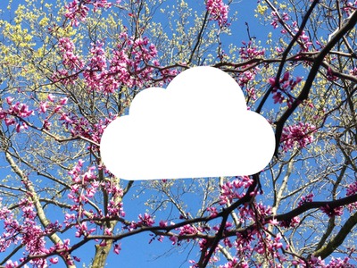 cloud tree Photo frame effect