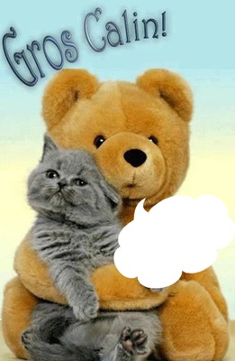 chat dans les bras d'un ours peluche 1 photo cadre フォトモンタージュ