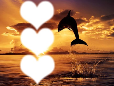 dauphin soleil Фотомонтаж