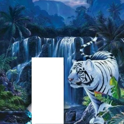 Bengal tiger Photo frame effect