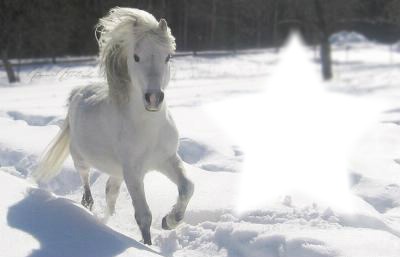 cheval blanc Fotomontažas