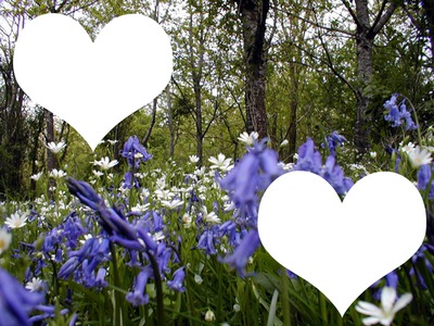 Spring-Printemps -bois fleuri Photo frame effect
