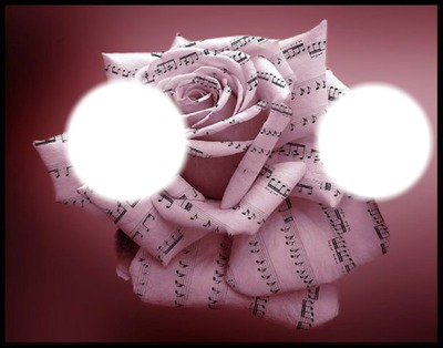 notes de musique rose Фотомонтажа