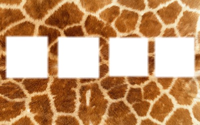 girafe Fotomontage