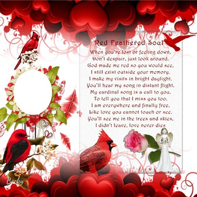 red feathered soul Photo frame effect
