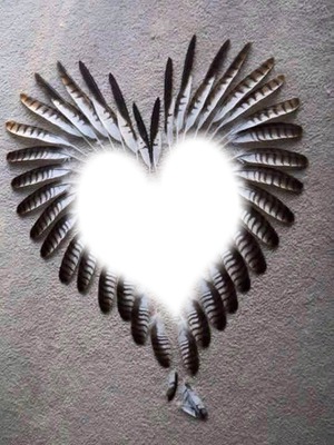 FEATHER HEART Photo frame effect