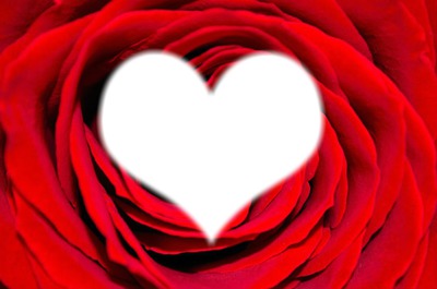 Rose Rouge en coeur Photo frame effect