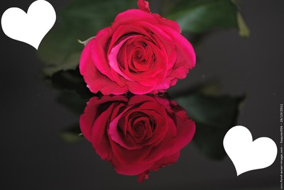 rose avec coeurs Photomontage