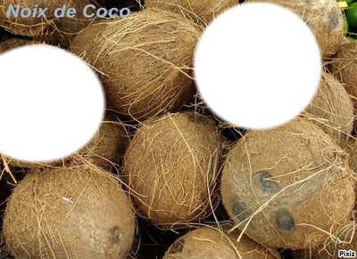 noix de coco pour les un peu noix de coco Valokuvamontaasi