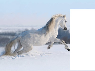 le cheval d hiver Fotomontažas