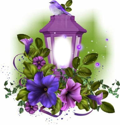 purple lantern Montage photo