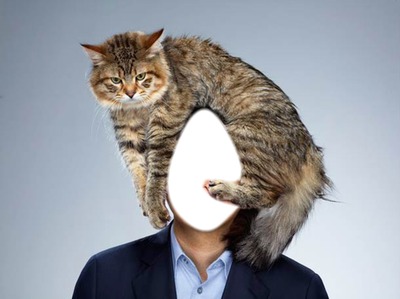 homme chat humour Photo frame effect