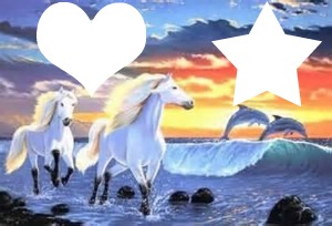 dauphins et chevaux Photomontage