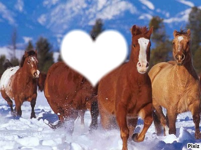 chevaux dans la neige Фотомонтажа