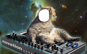 space cat Photomontage