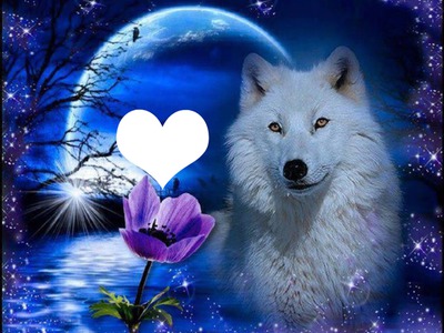 loup blanc Fotomontage