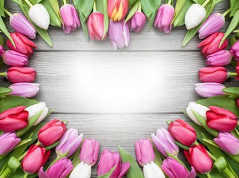 coeur tulipes Fotomontage