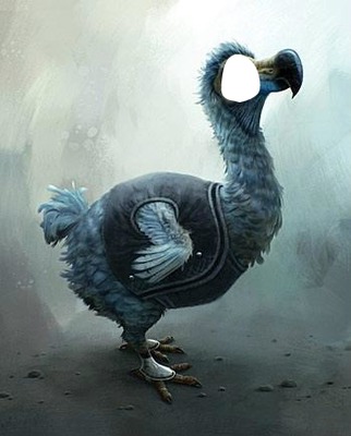 le dodo d'alice Fotomontagem