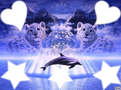 dauphin avec bébé lion Photo frame effect