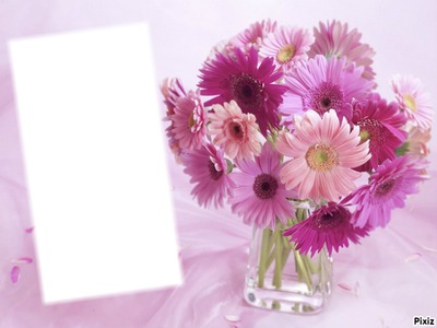 bouquet de gerbéras* Photo frame effect