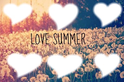 love summer Photo frame effect