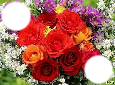 bouquet de roses panachée Φωτομοντάζ